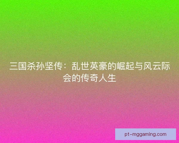 三国杀孙坚传：乱世英豪的崛起与风云际会的传奇人生