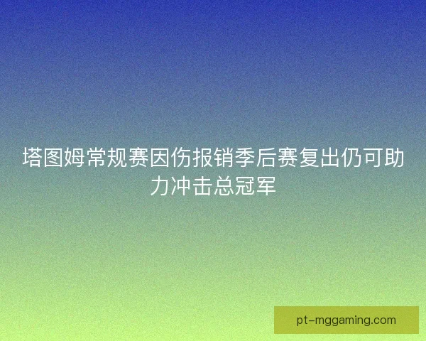 塔图姆常规赛因伤报销季后赛复出仍可助力冲击总冠军